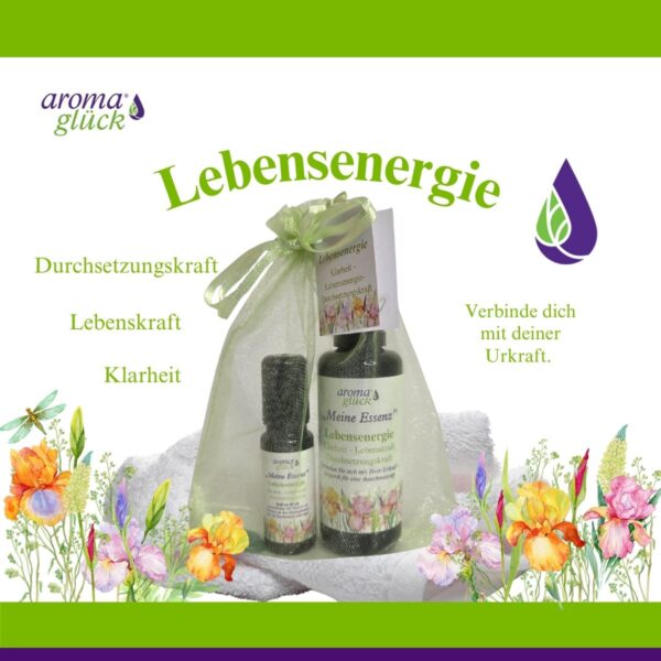Meine Essenz „Lebensenergie“