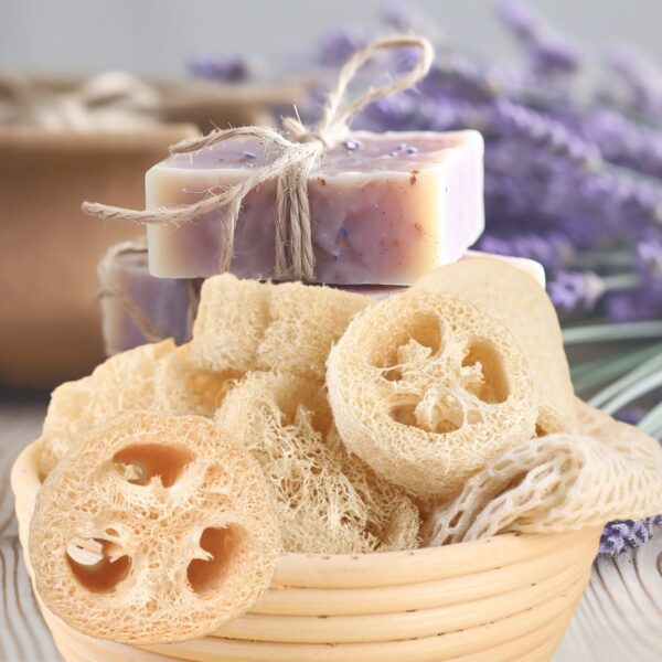 Luffascheibe – Natürliche Seifenablage